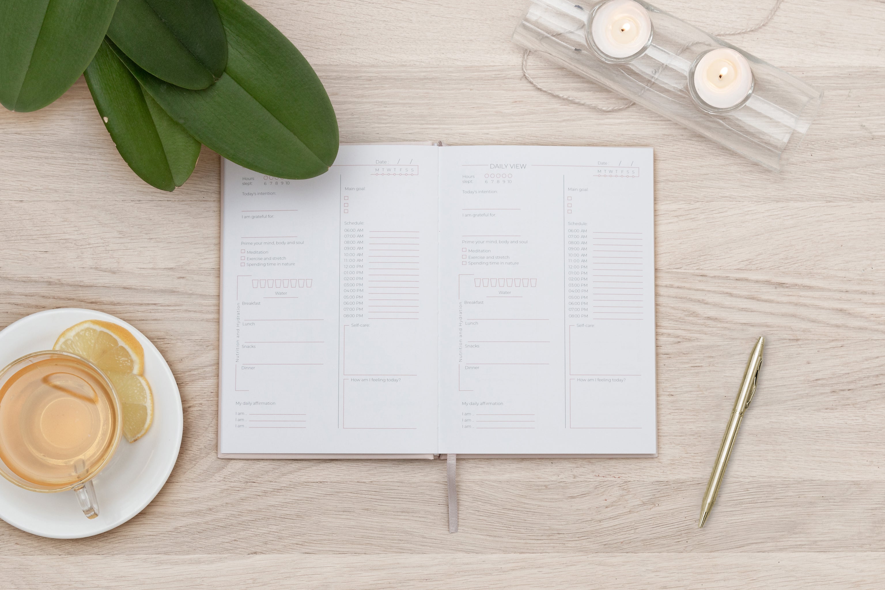 The Holistic Wellness Planner- comes with a beautiful gift box *PRE ORDER*